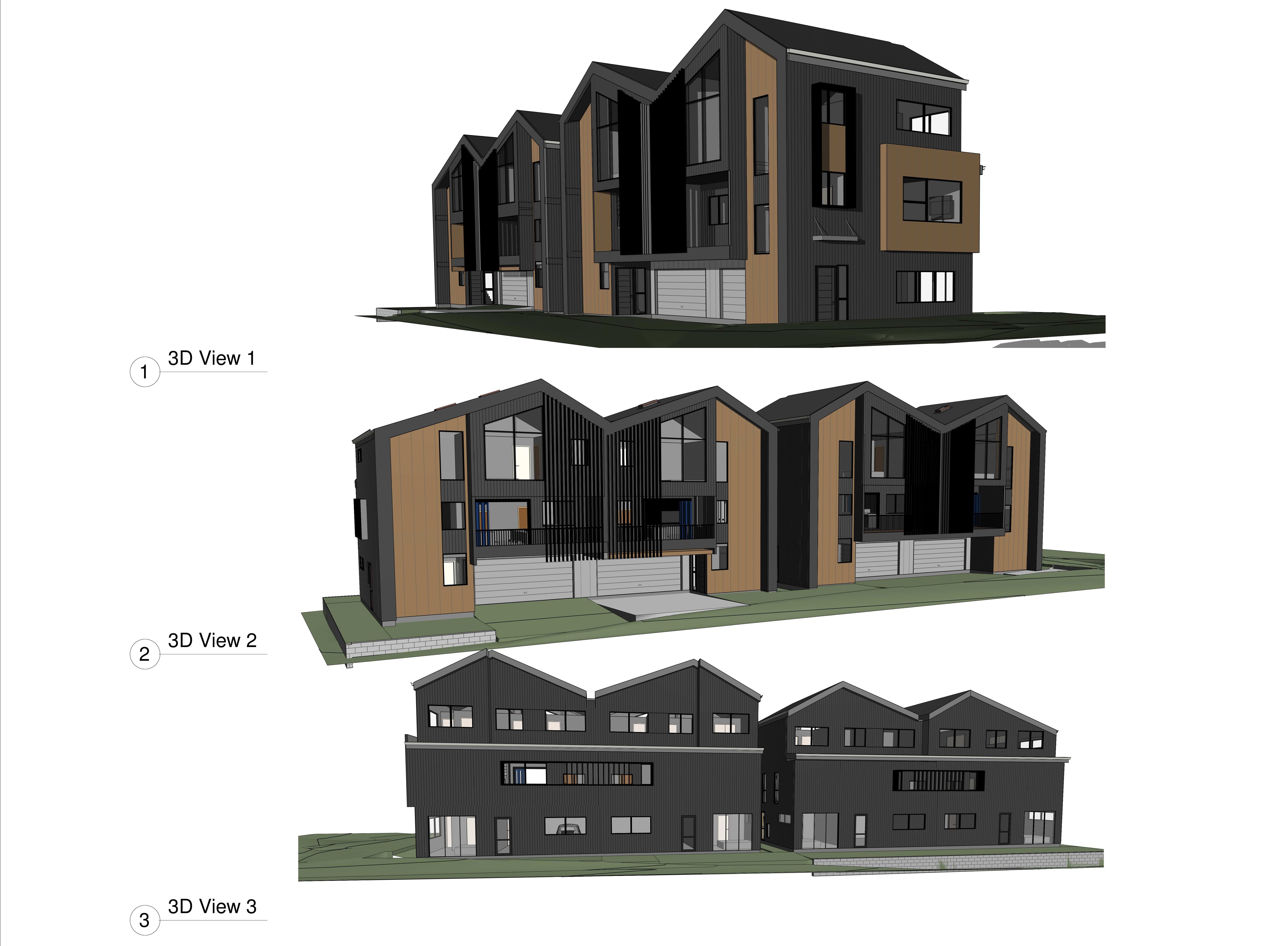 Two Duplexes in Point Chevalier